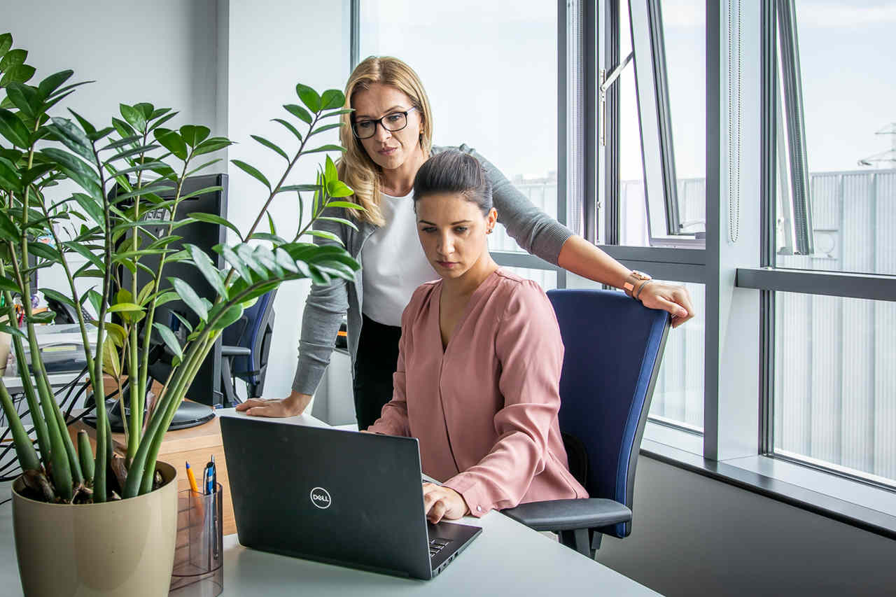 Two elegant women work with one computer. There is a green flower on the desk